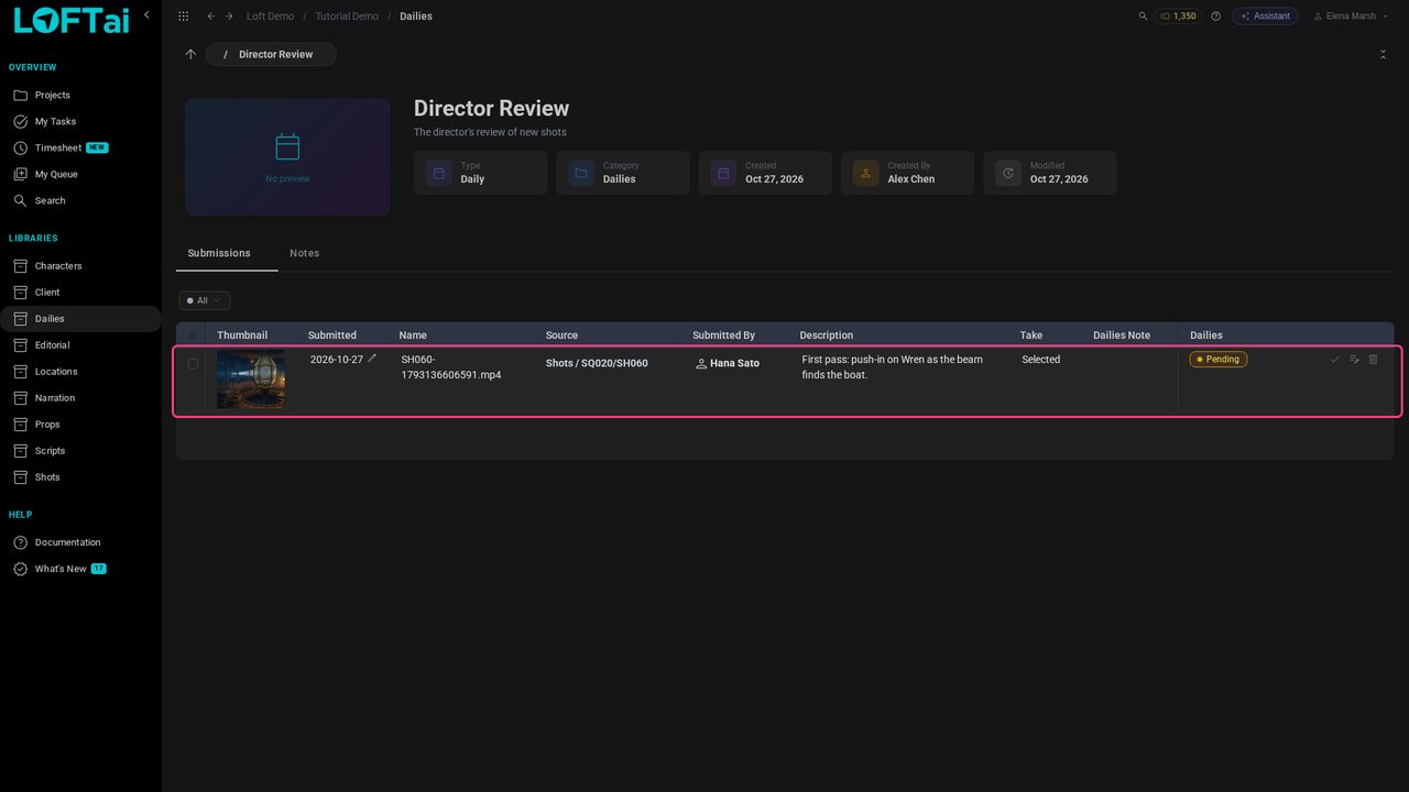 The director's dailies